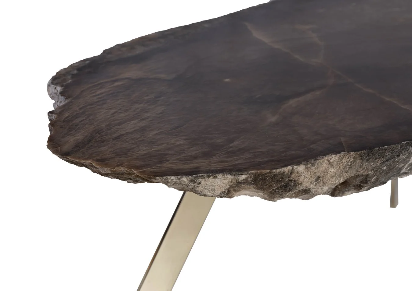 FMM_Cortex (2)_1.jpg