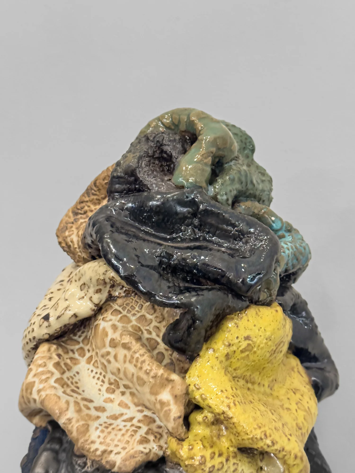 Lace 6_0000_IMG_2081.jpg