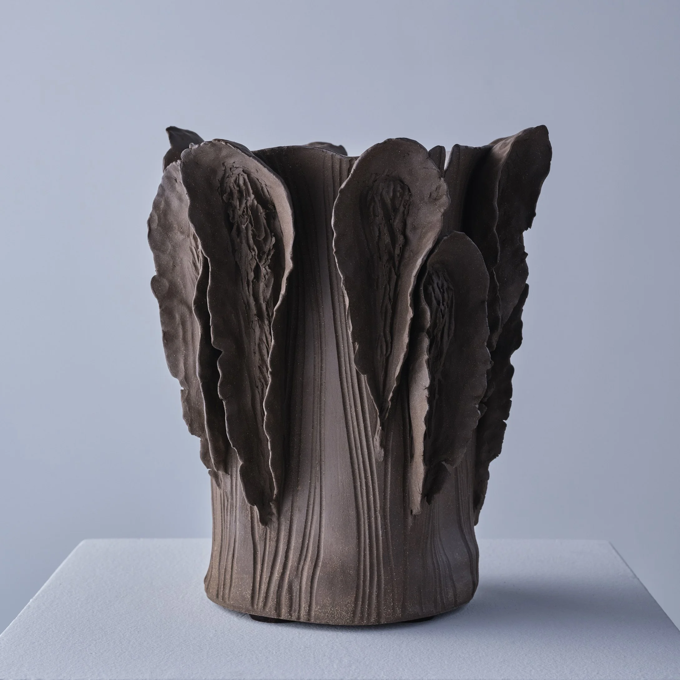 TDM1202-BrownPetaleVessel-02-web.jpg
