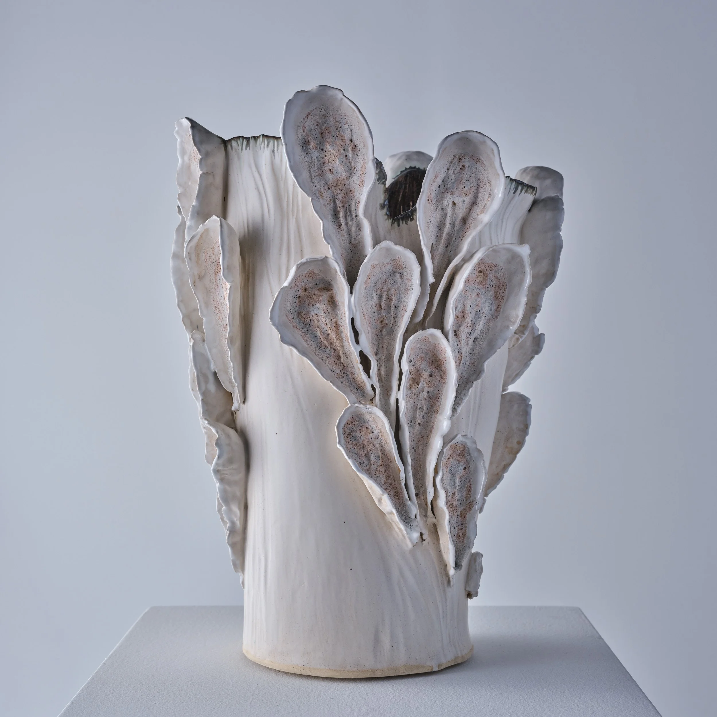 TDM1203-WhitePetaleVessel-02-web.jpg