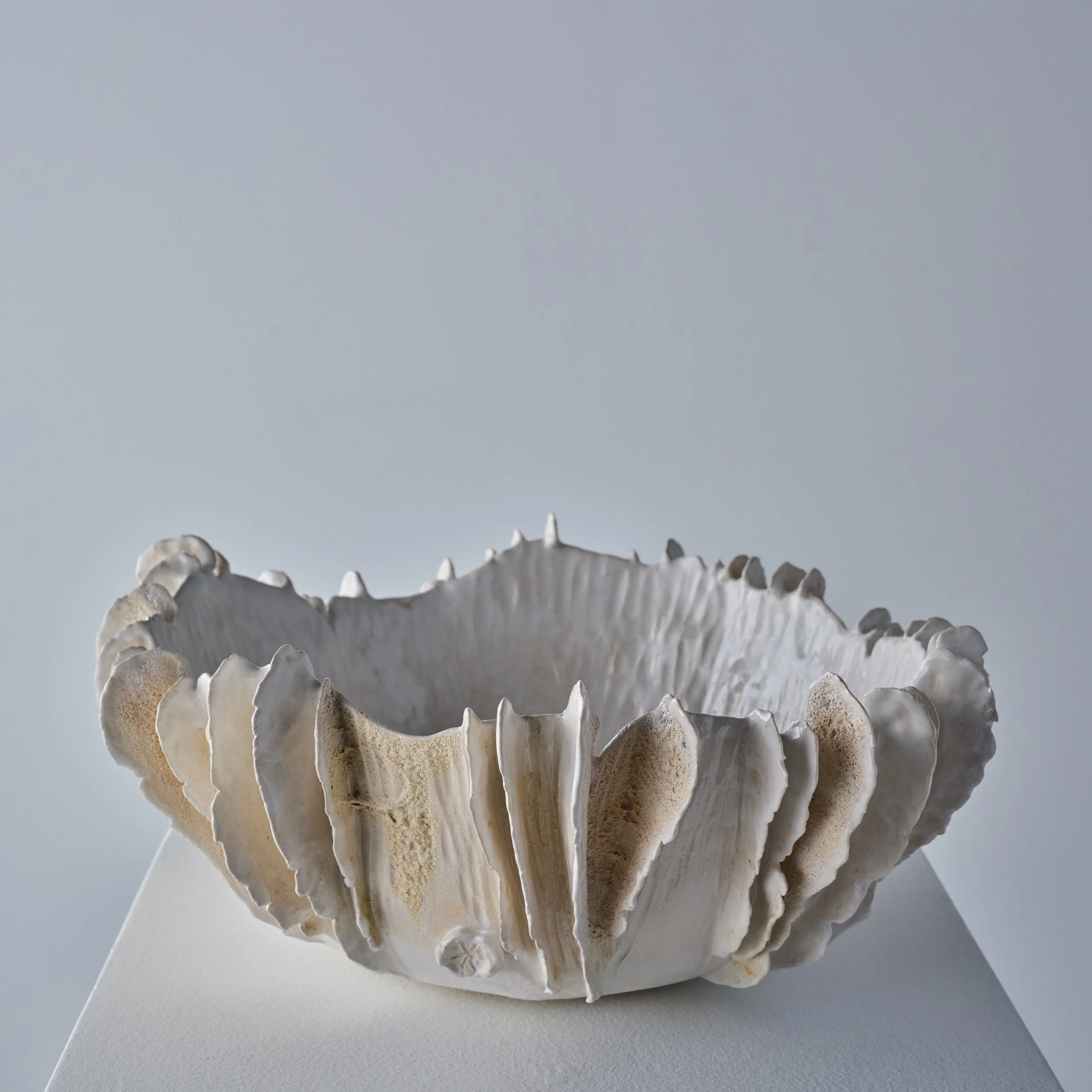 TDM1212-LamellaLargeWhiteBowl-web.jpg