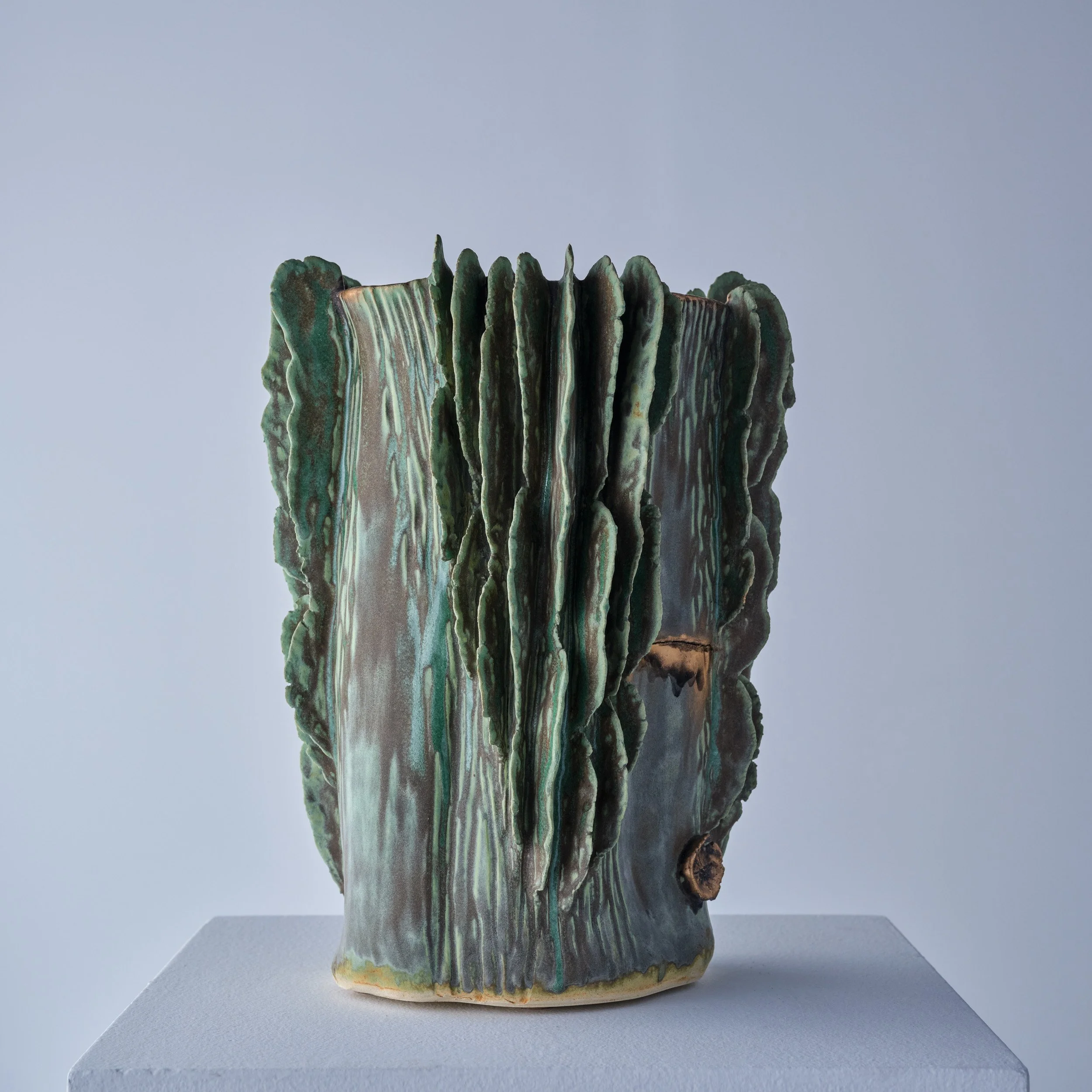 TDM1213-GreenLamellaVessel-web.jpg