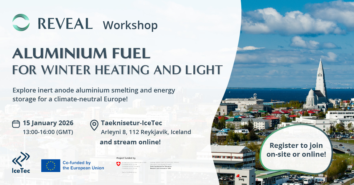 REVEAL Workshop in Reykjavík