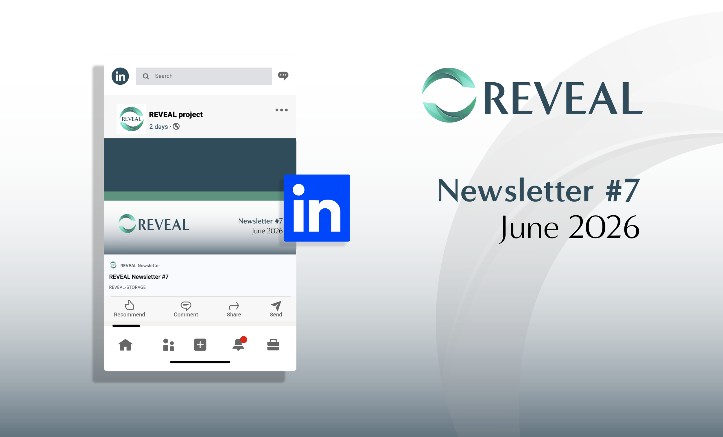Newsletter #7
