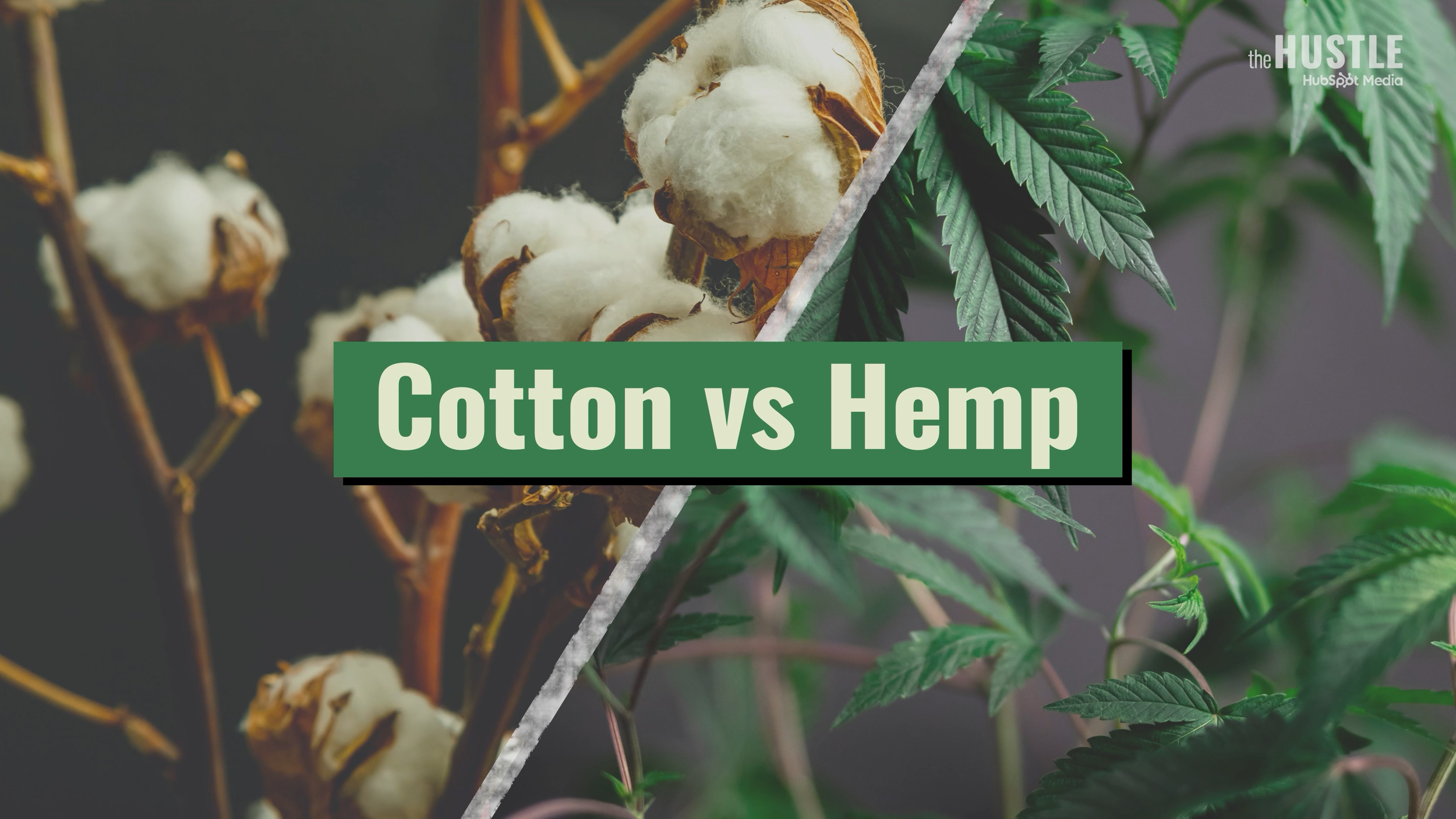 HUS-173_Hemp_251015_v10_FINAL-H264.mp4.01_00_24_08.Still002.png