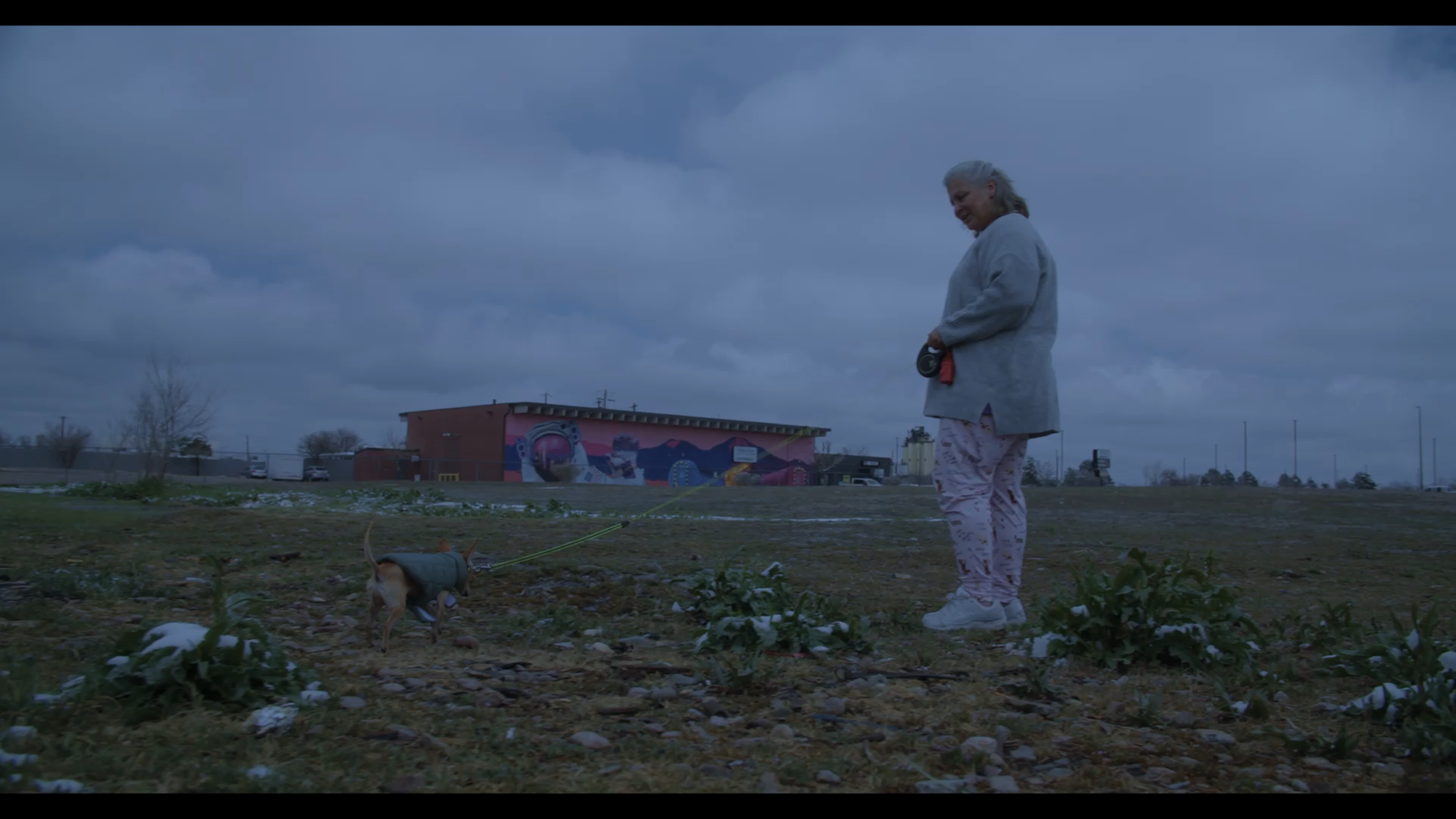 rainbow_rider___festival_submission_screener_v3.mp4.00_15_01_21.Still130.png