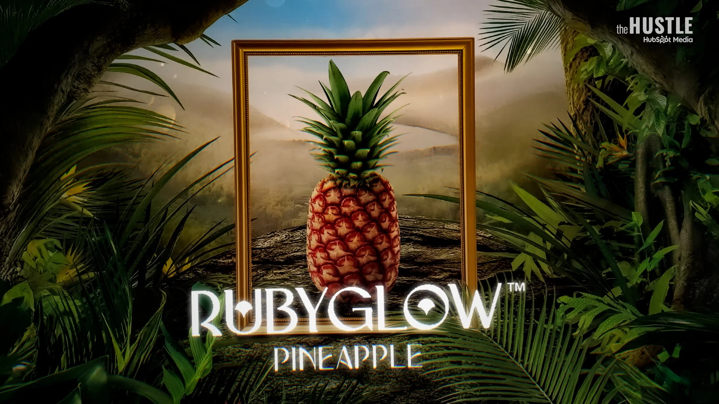 HUS-204_Red-Pink-Pineapples_260515_v10_FINAL-H264.mp4.01_00_02_21.Still002.jpg