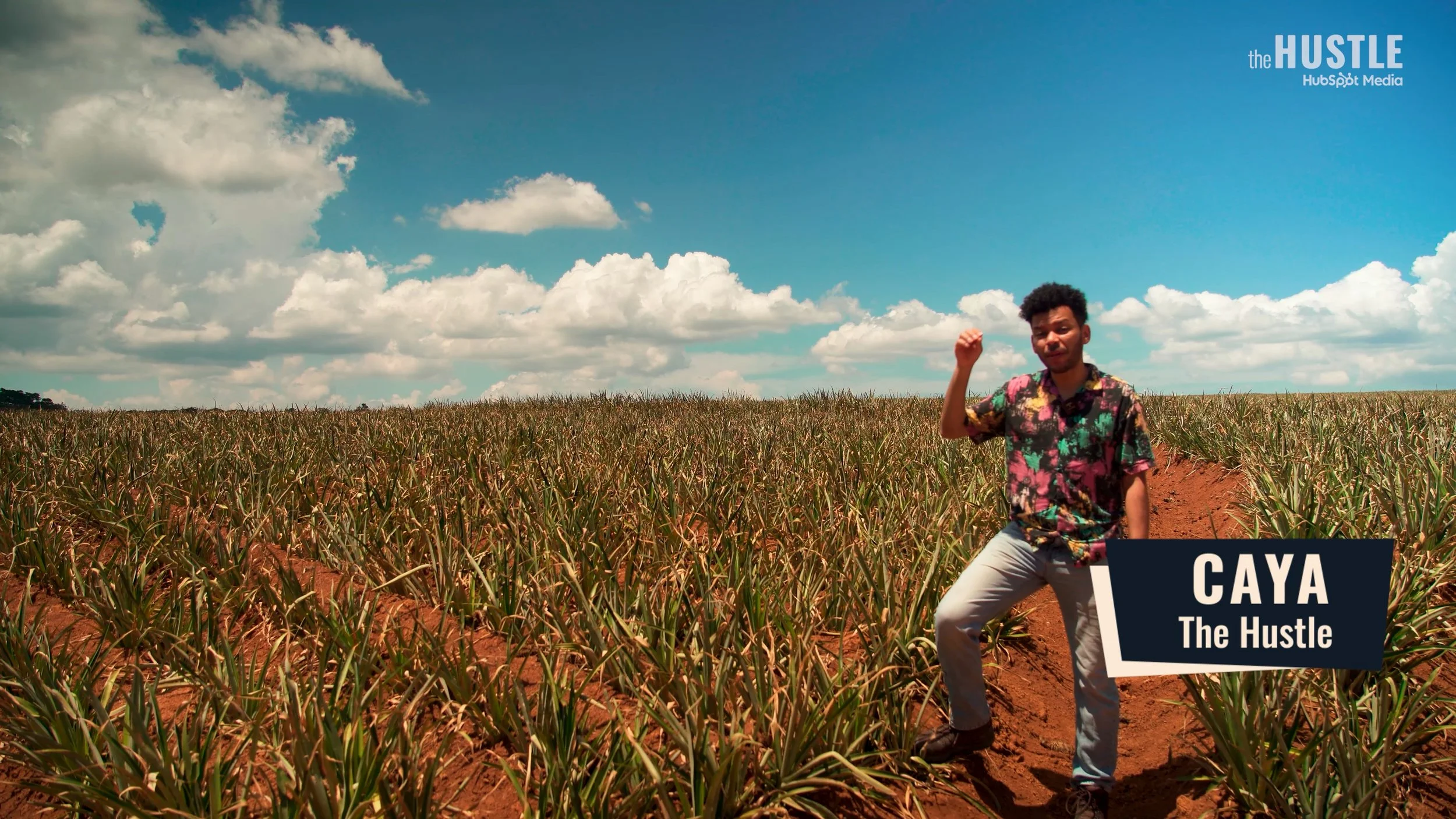 HUS-204_Red-Pink-Pineapples_260515_v10_FINAL-H264.mp4.01_00_44_22.Still004.jpg