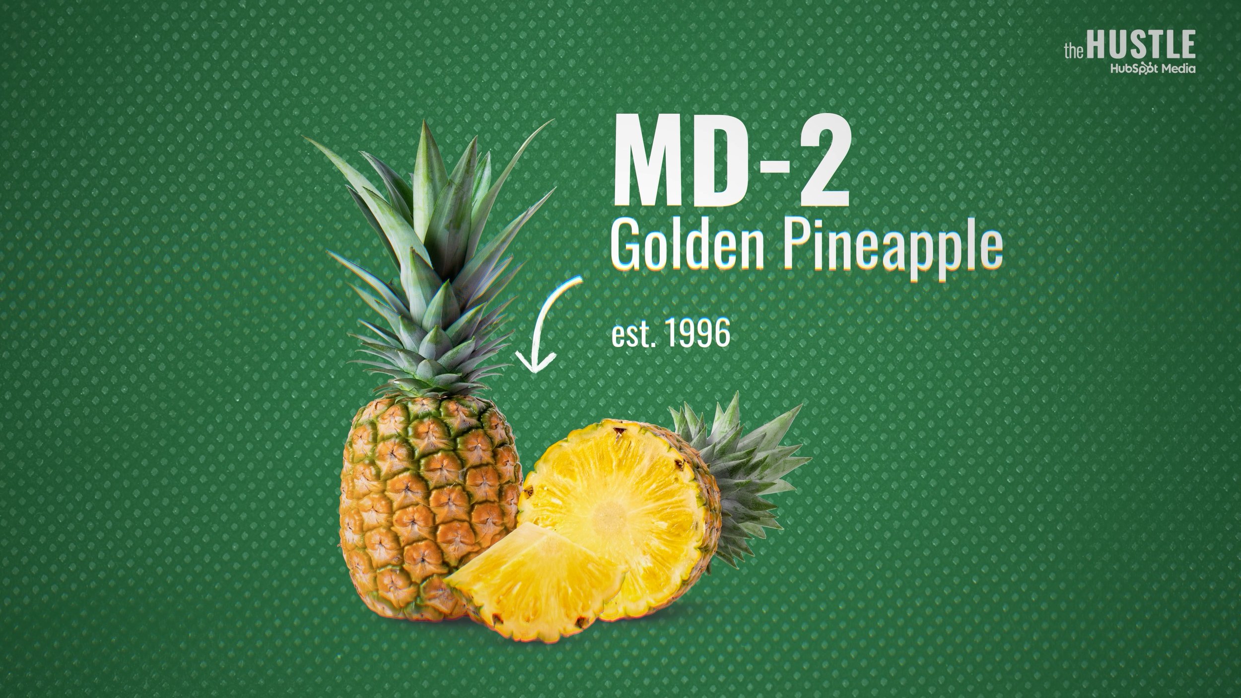 HUS-204_Red-Pink-Pineapples_260515_v10_FINAL-H264.mp4.01_02_02_10.Still007.jpg