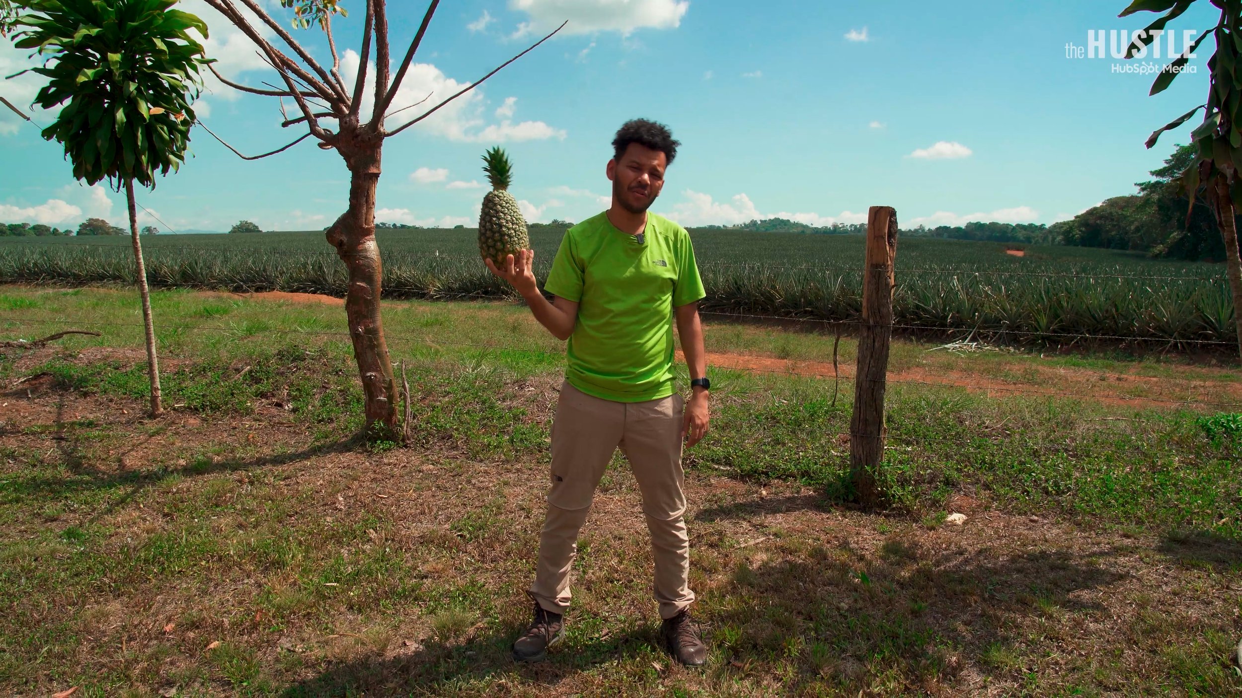 HUS-204_Red-Pink-Pineapples_260515_v10_FINAL-H264.mp4.01_11_25_04.Still014.jpg