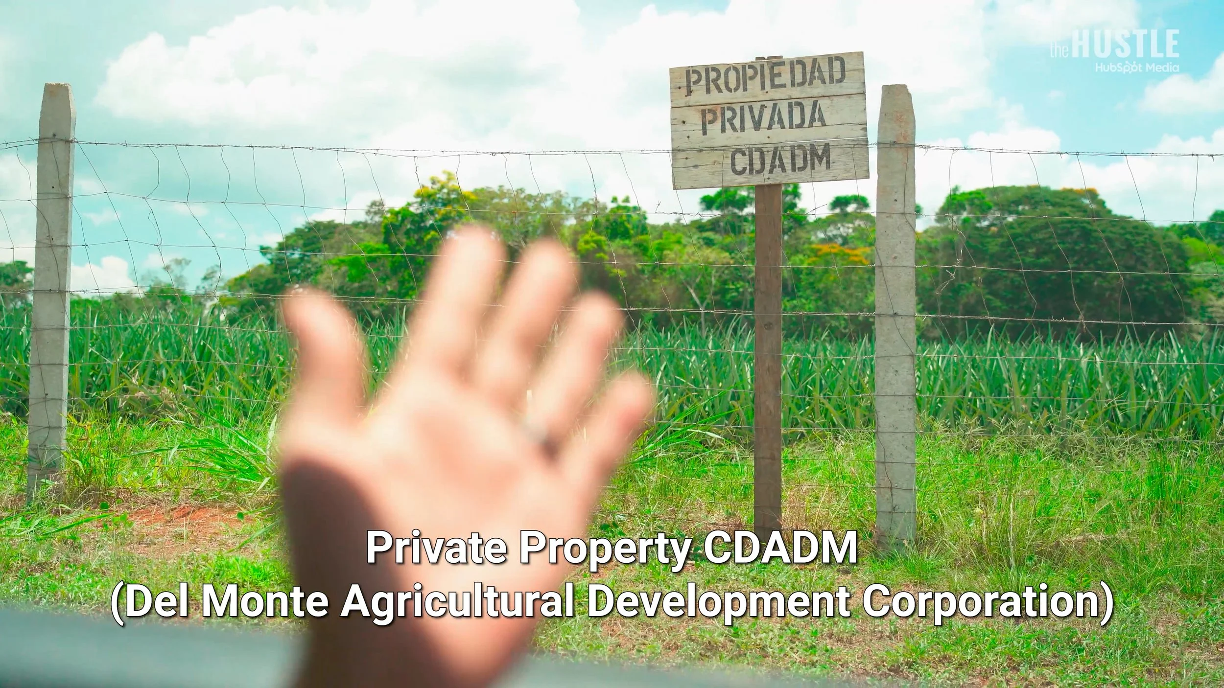 HUS-204_Red-Pink-Pineapples_260515_v10_FINAL-H264.mp4.01_12_26_19.Still015.jpg