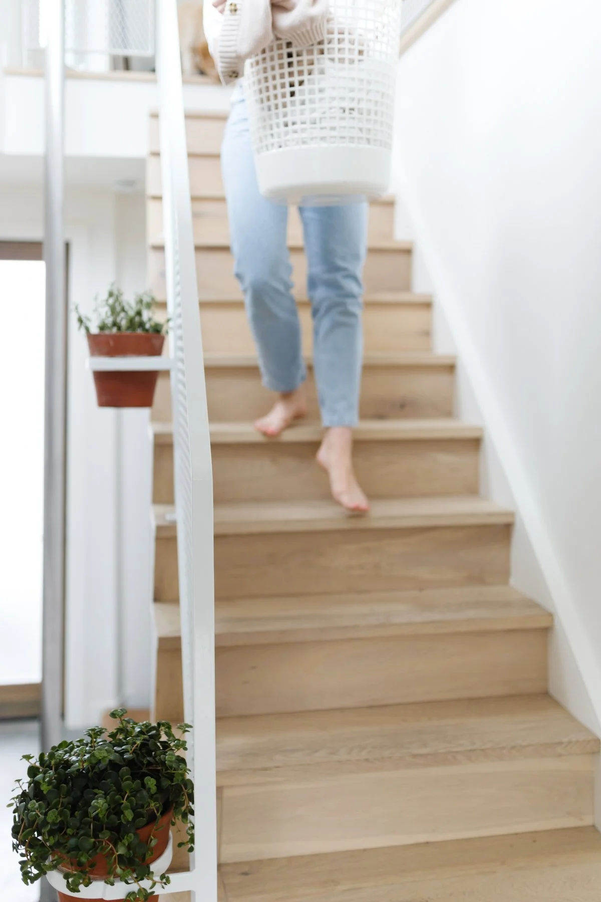 Summerside Design Manotick.jpg