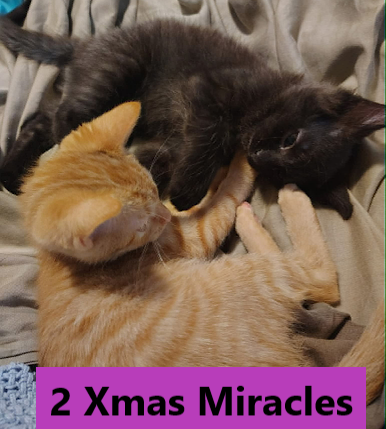 78 aboard on December 20-21, 2025 KY Transport