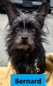 70 aboard on January 31-Feb. 1, 2026 KY Transport