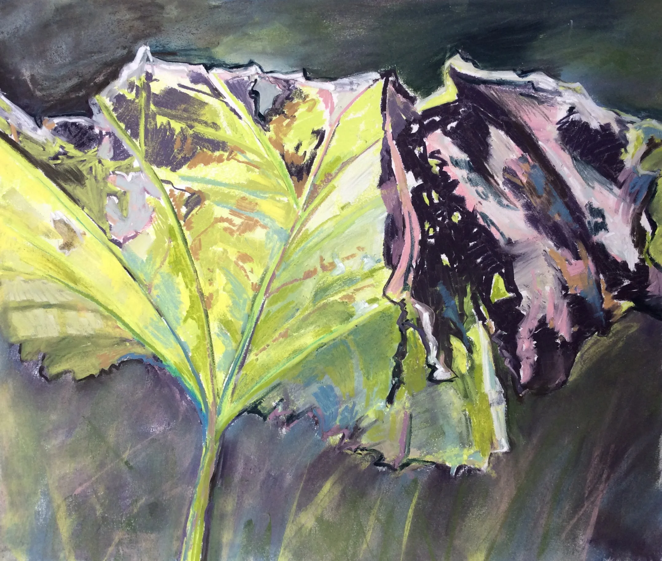 112 - Foliage Study 2, pastel on smooth paper, 38x44cm
