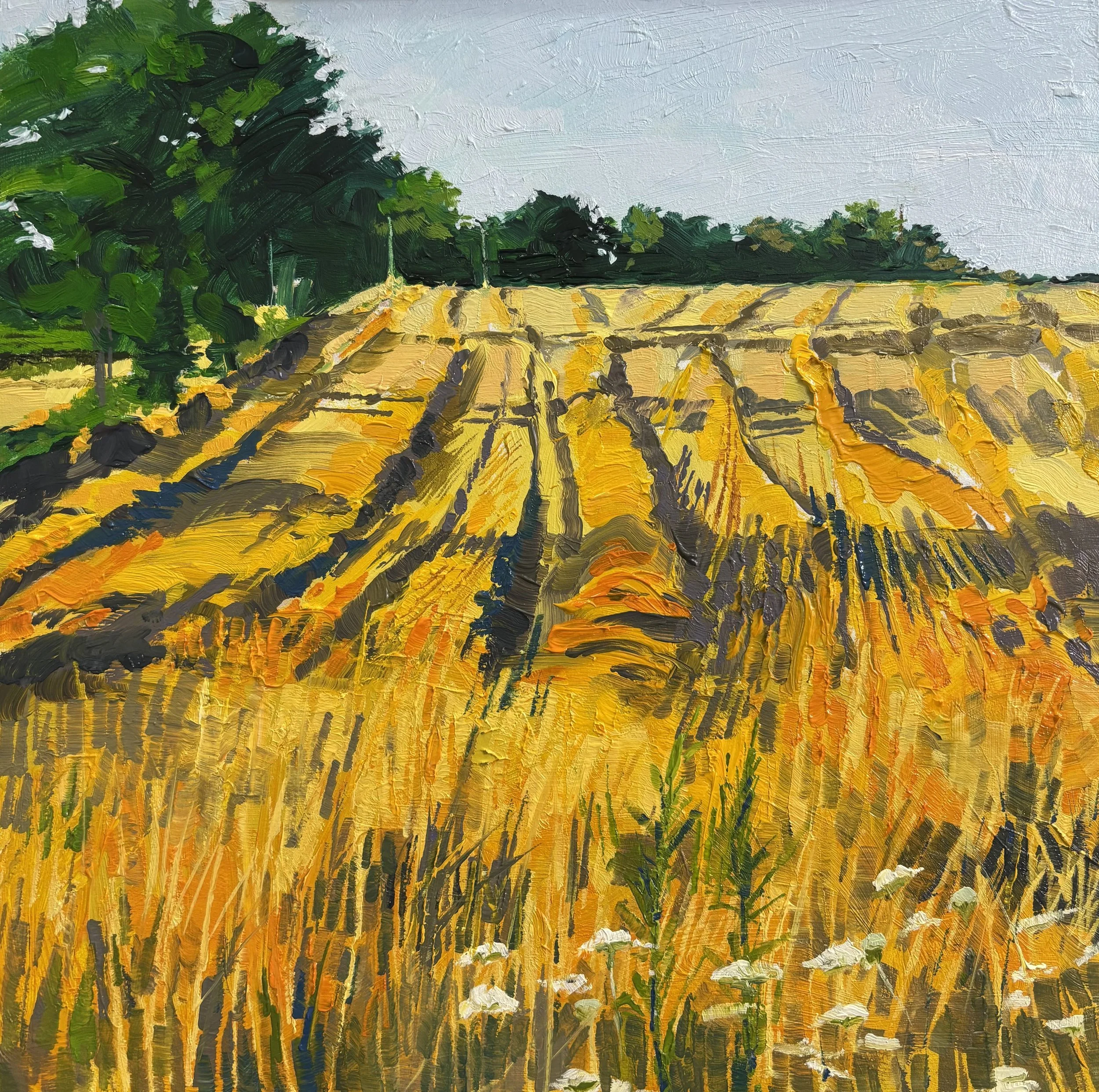 395 - Harvested Field at Early Light, oil on MDF, 30x30cm
