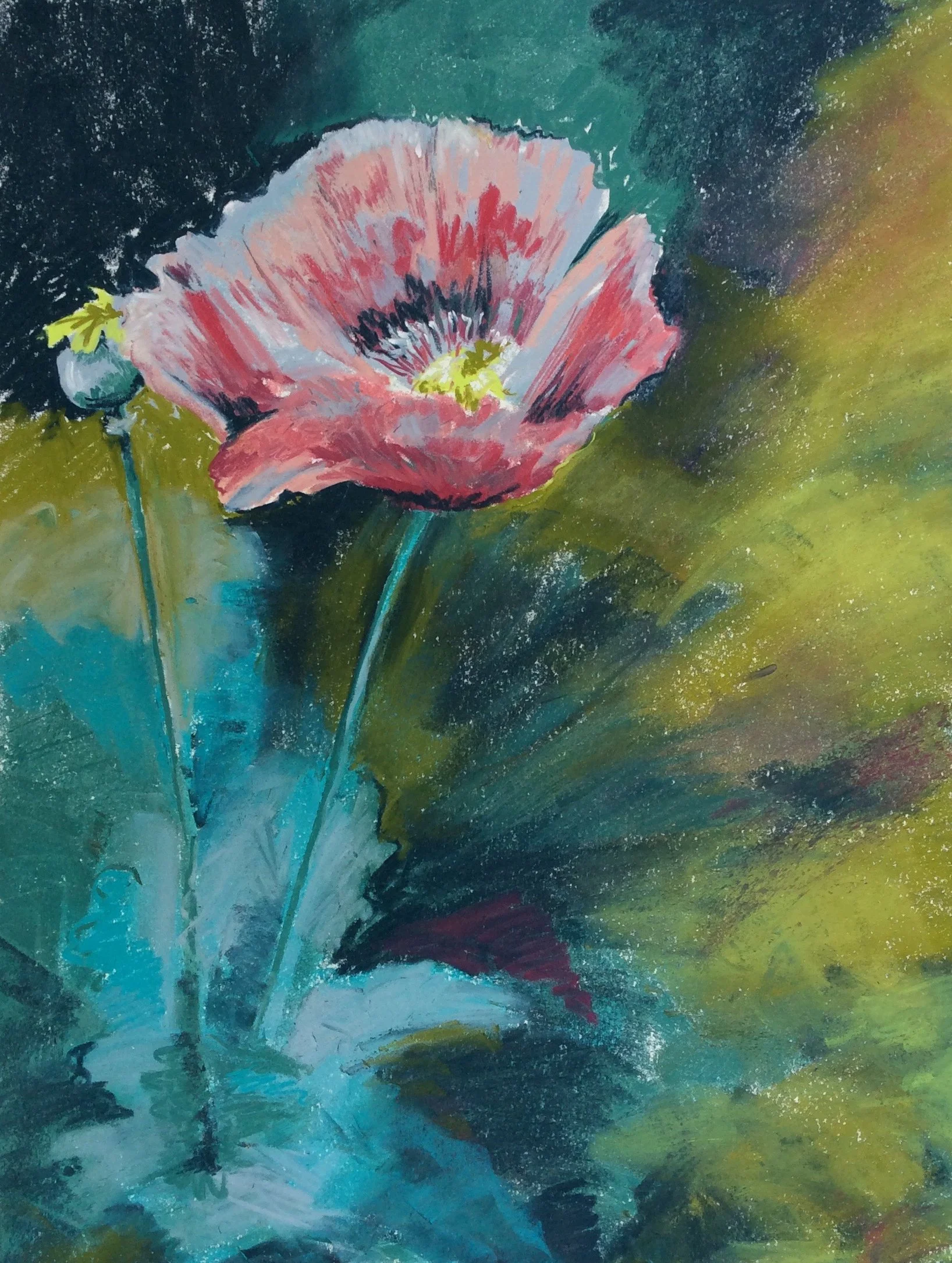 108 - Poppy, pastel, 45x34cm