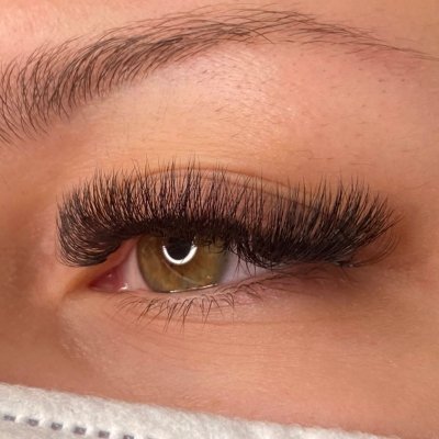 Lash And Brow Bar