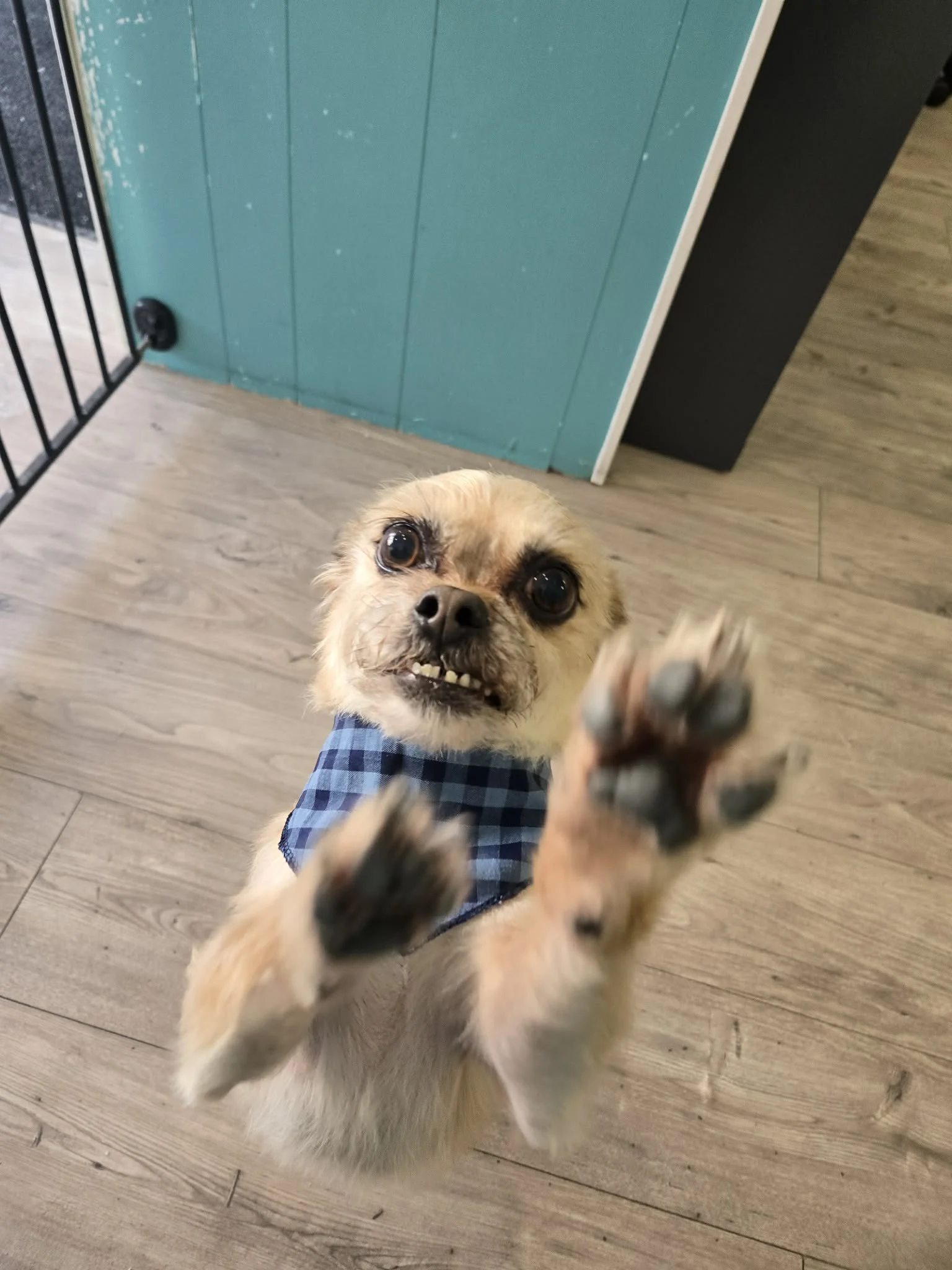 3fd67dab-5419-4d8e-bf2e-d4c0e89f0ab6 (1).jpg