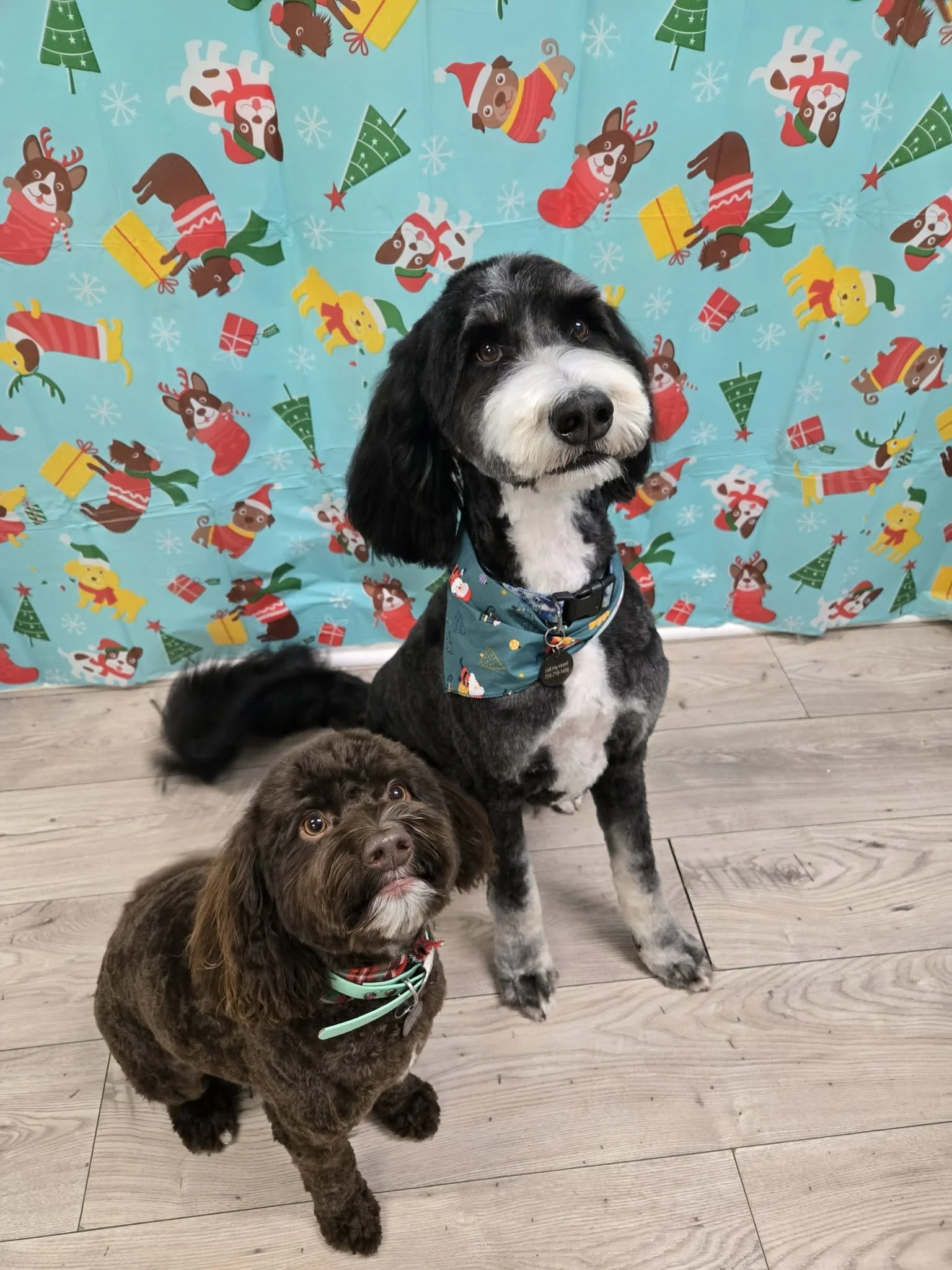 d8c99015-704f-4254-9dab-e043d07917a5 (1).jpg