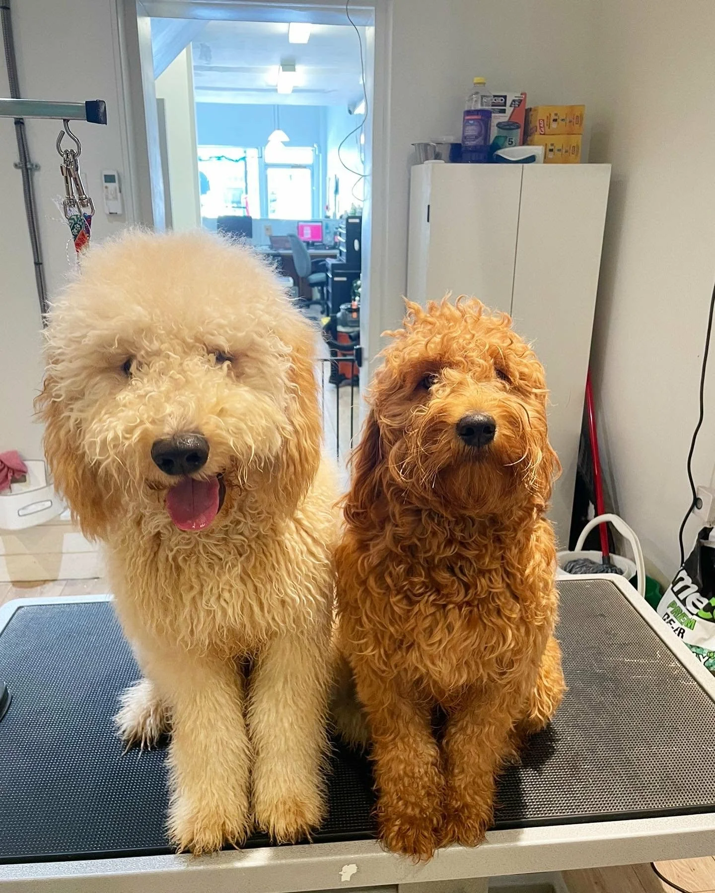 b8ccd3cd-9337-4d1e-938d-862b313ff3b9 (1).jpg