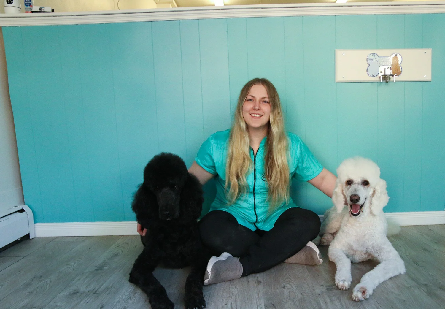 Top Knot Dog Grooming Orillia Dog Groomer