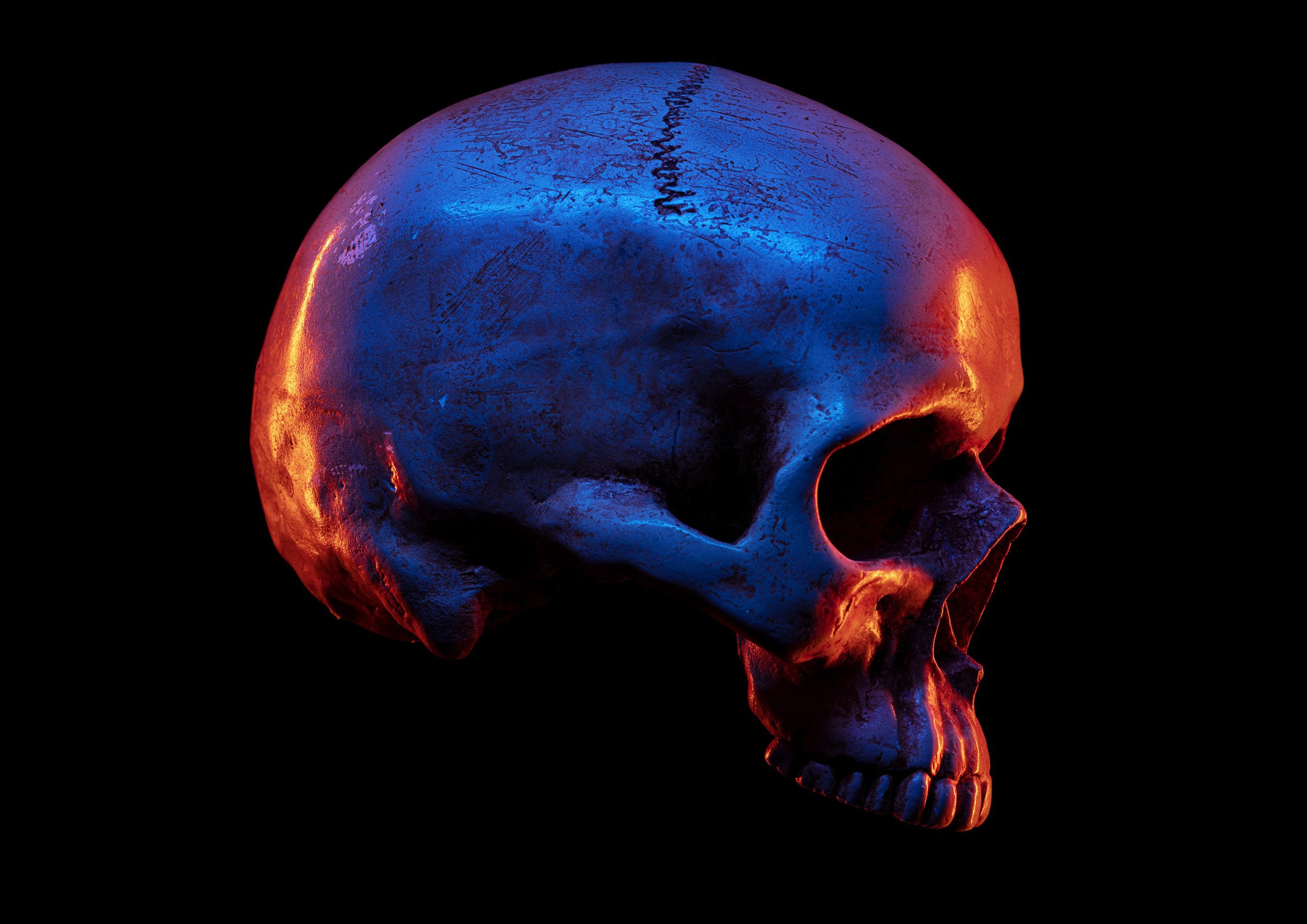 Image of a human skull, seen side on, lit mainly with blue light but with warm orange and yellow sidelight, giving a neon lit effect, on a black background. commercial photography by Steve Bright