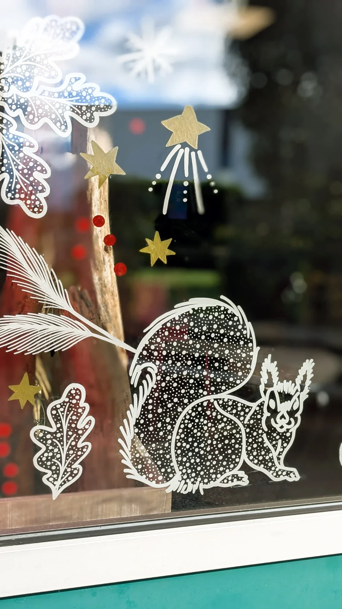 Peinture sur vitrine Noël. Motif composé de végétaux, d'étoiles, de houx et d'un écureuil. Coloris blanc, rouge et doré