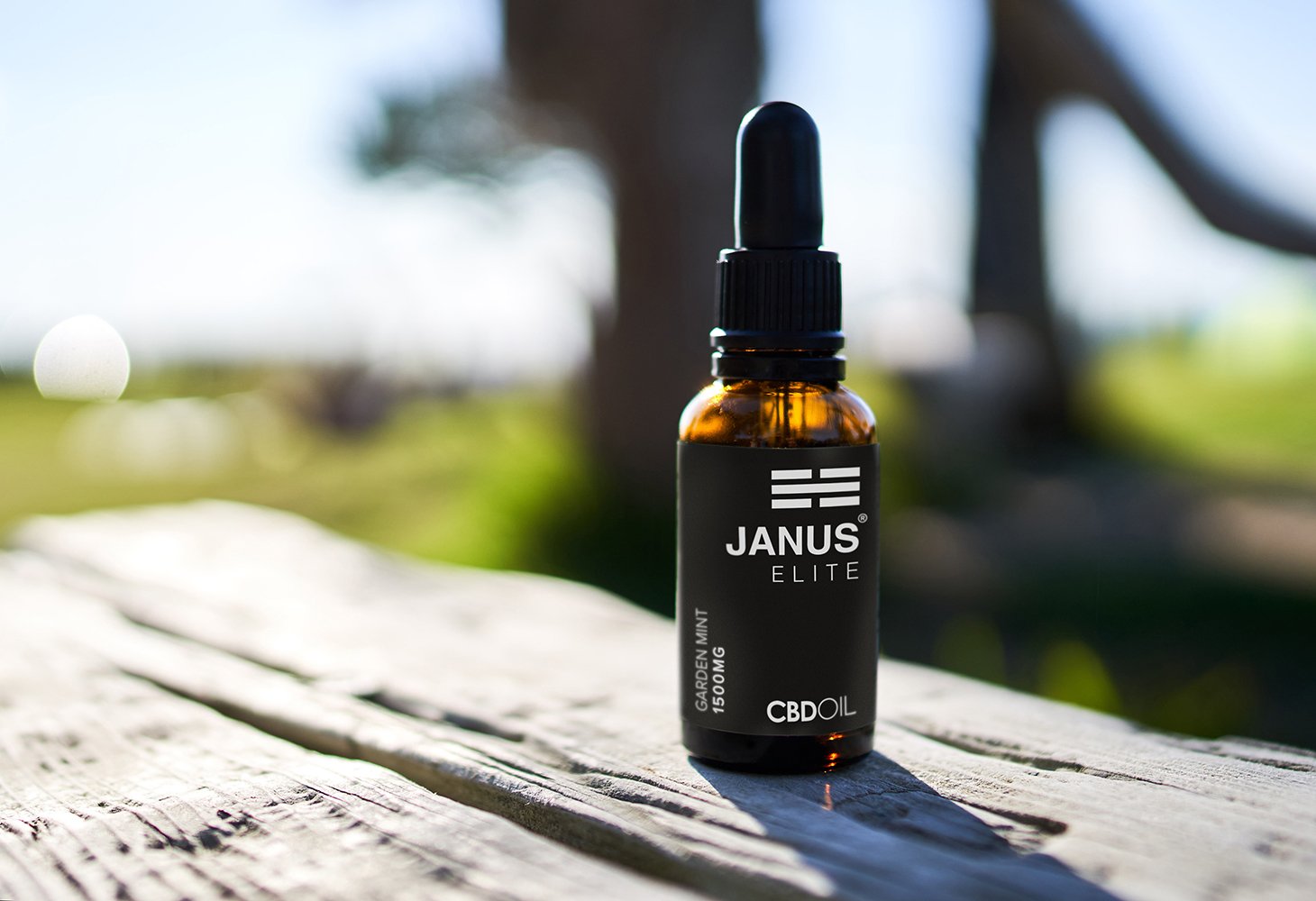 Janus-CBD-Oils-Capsules_Straight.jpg