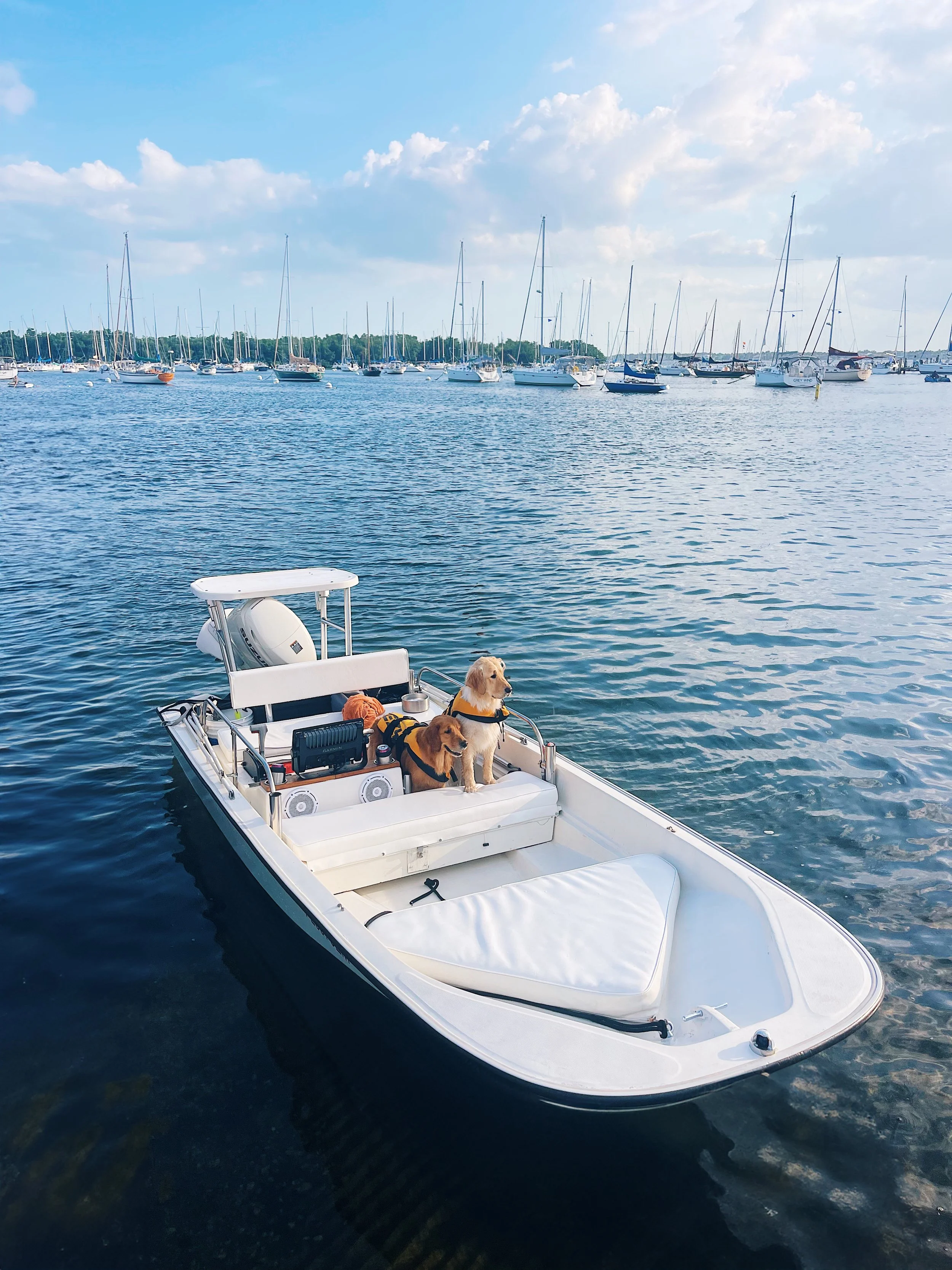 maggie_annie_boat_grove.jpg