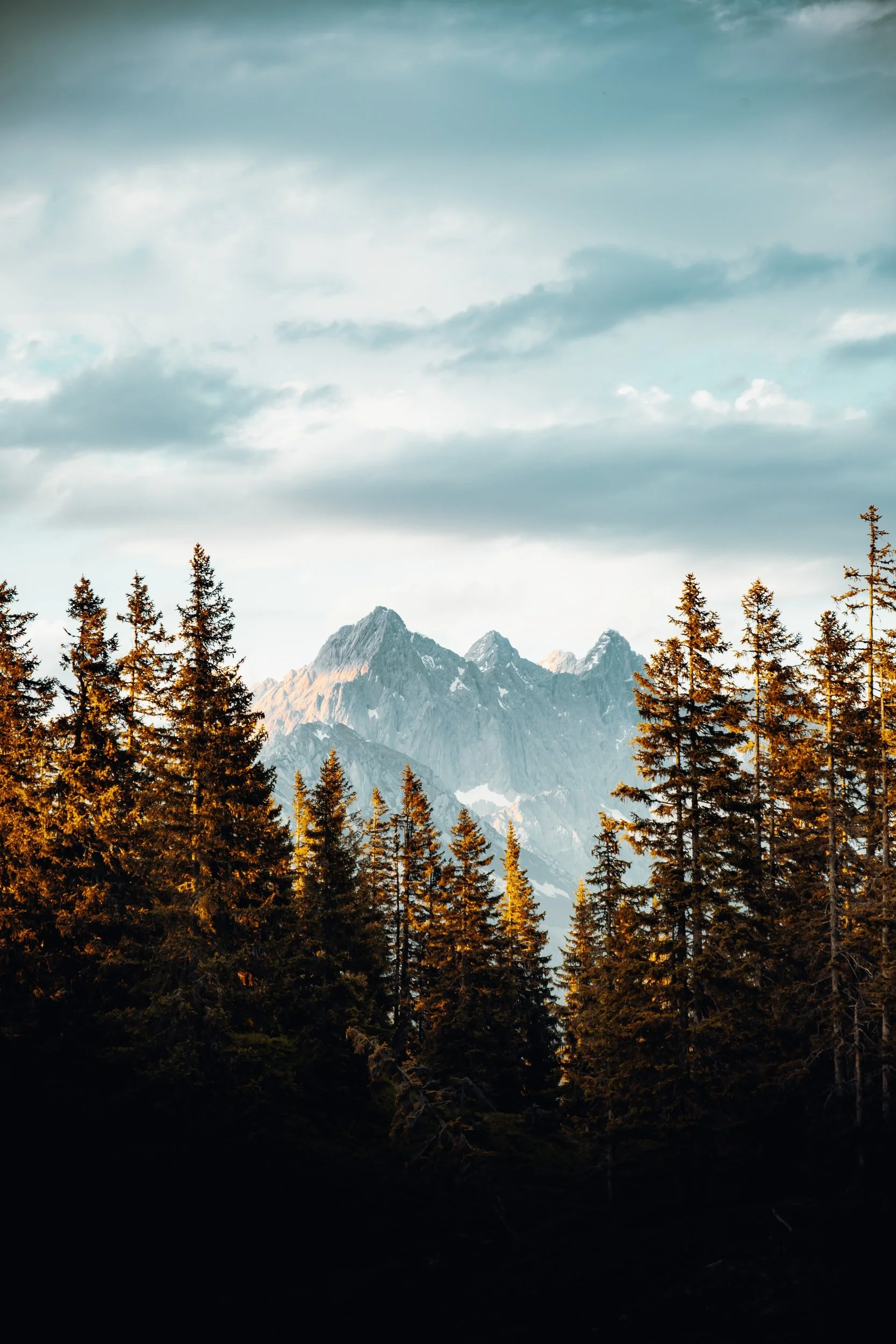 unsplash-image-1_n3CV4USaQ.jpg