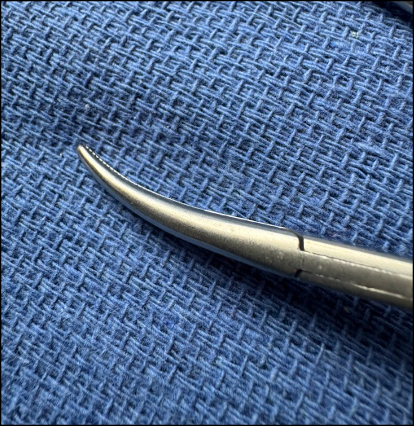 Screenshot 2026-02-23 094934.png