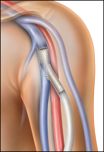 Screenshot 2026-02-24 134601.png