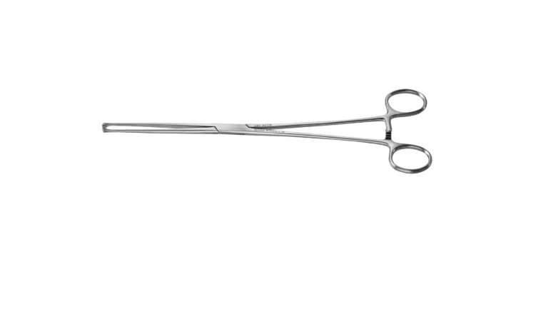 Screenshot 2026-02-24 215920.png