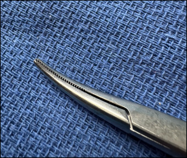 Screenshot 2026-02-23 095016.png