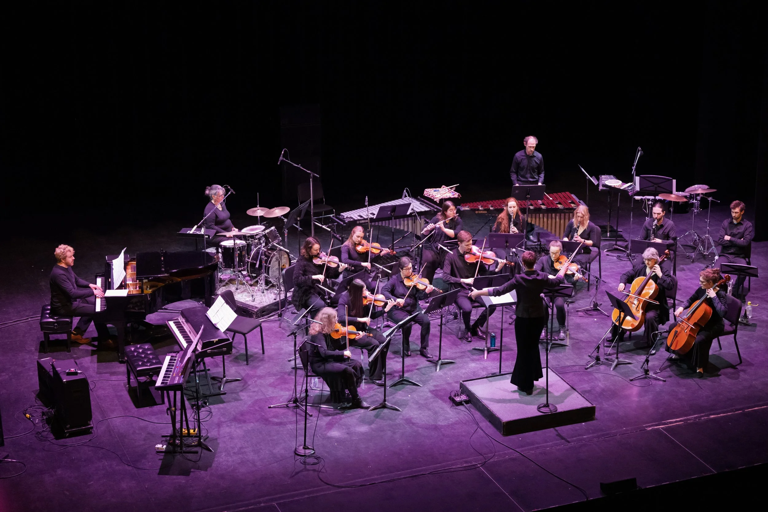 Conducting Whitehorse's Problematic Orchestra (Bruce Barrett, 2025)