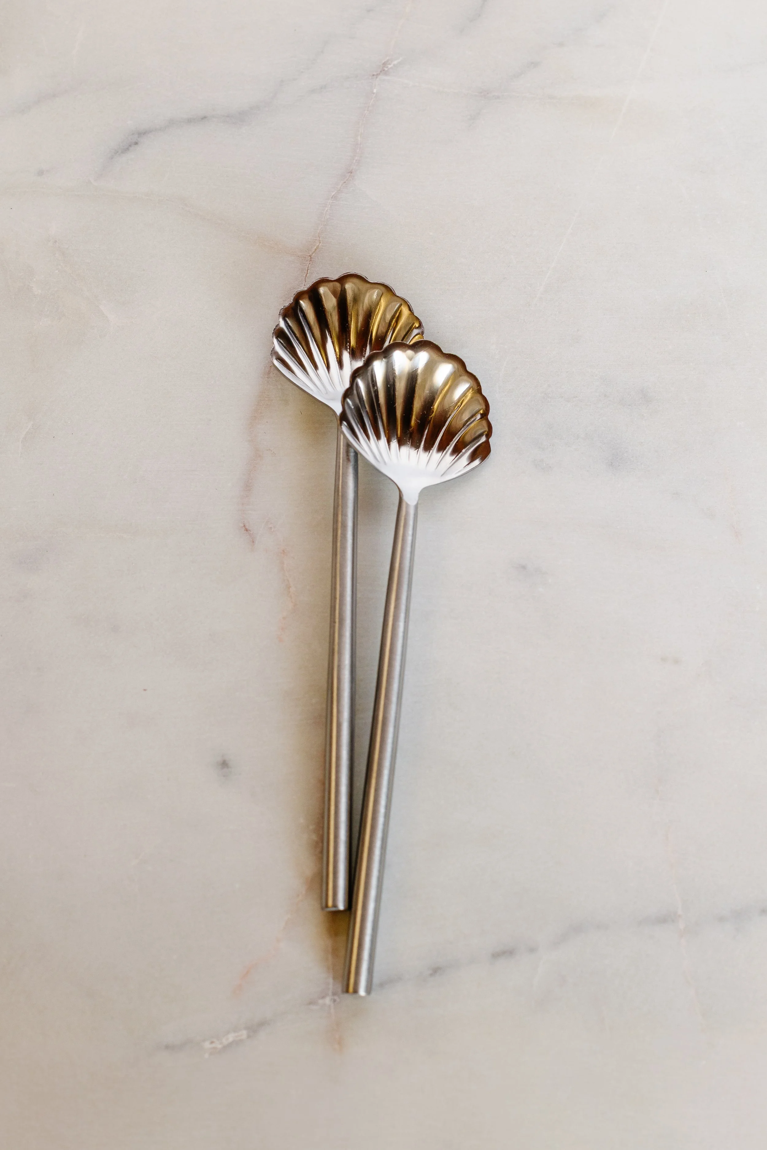 Stainless Steel Shell Shaped Spoon