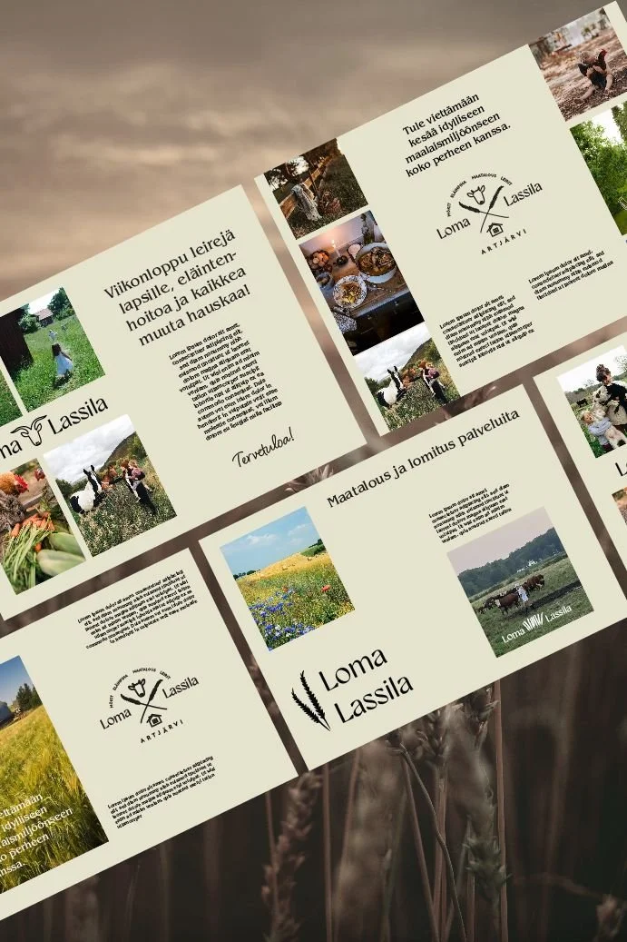 Näyttökuva (906)a.jpg