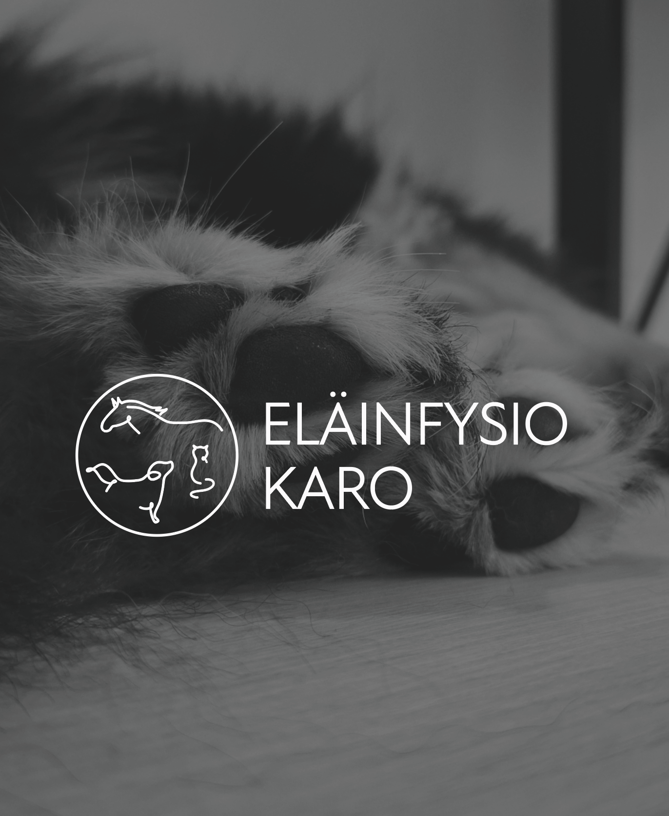 Mainoslehtinen siivousalan yrityksestä