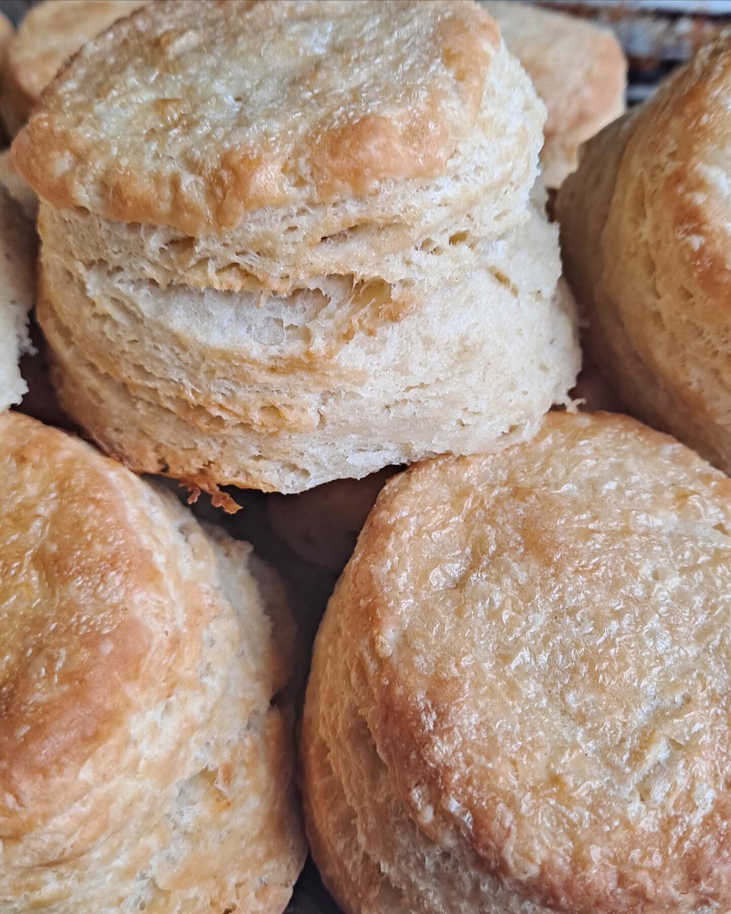 New drop from @wellreadchef: #biscuits #honeymisocornbread #currantscones #saltedpeanutflorentines #buttercookies