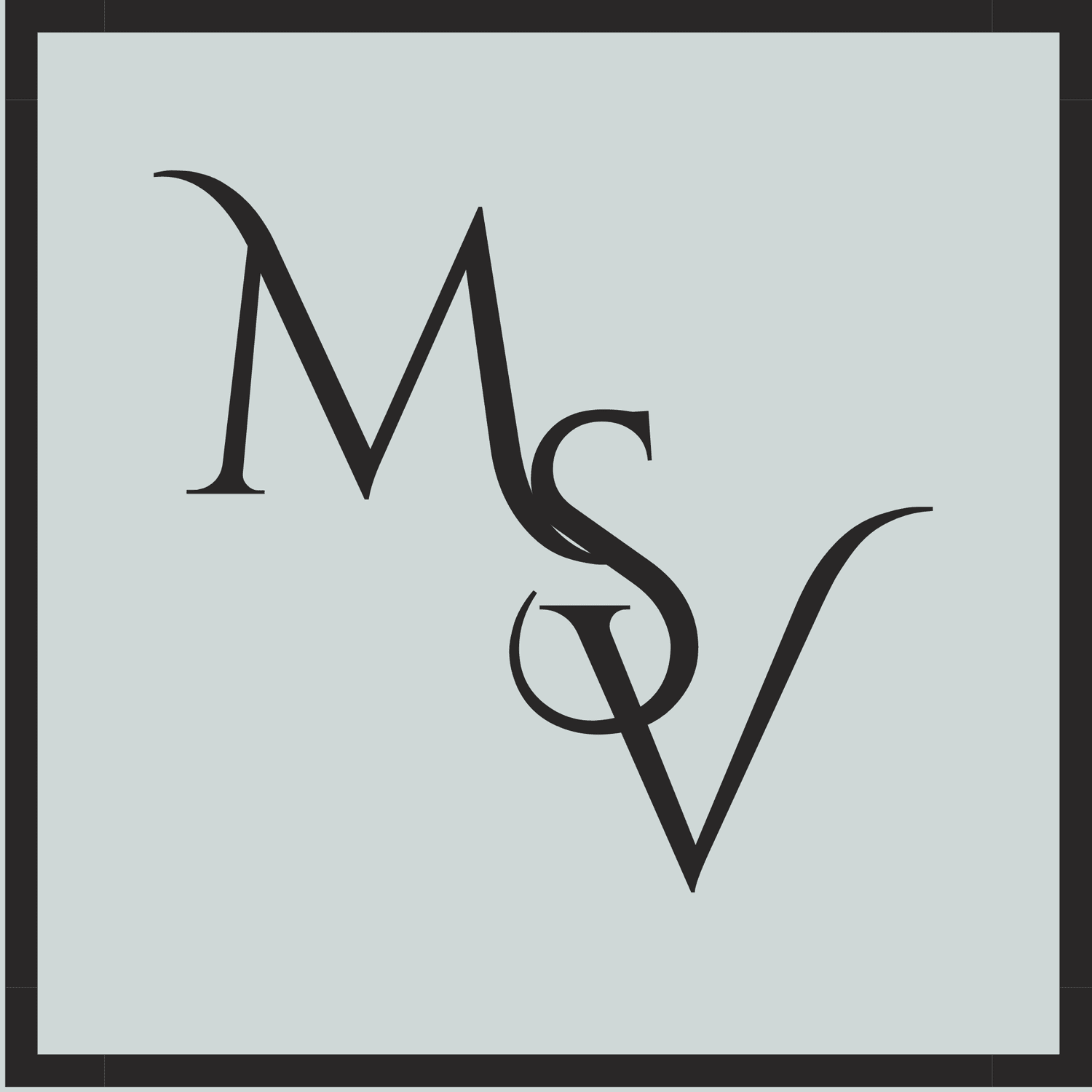 MSV Capital