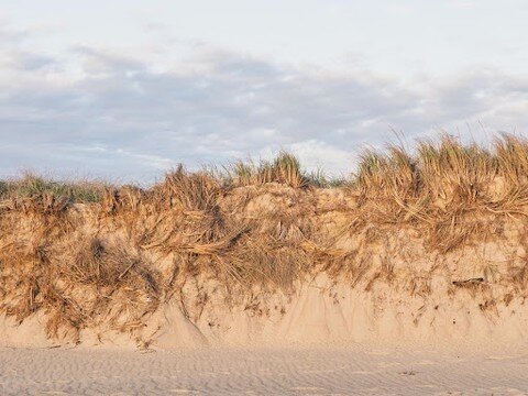 ​​EROSION NANTUCKET

In today&rsquo;s ACKlimate scavenger hunt preview, for 400 points, name 5 locations on Nantucket Island that are experiencing extreme erosion. 

Share your findings to our Climate Change Awareness Month Scavenger Hunt on Goosecha