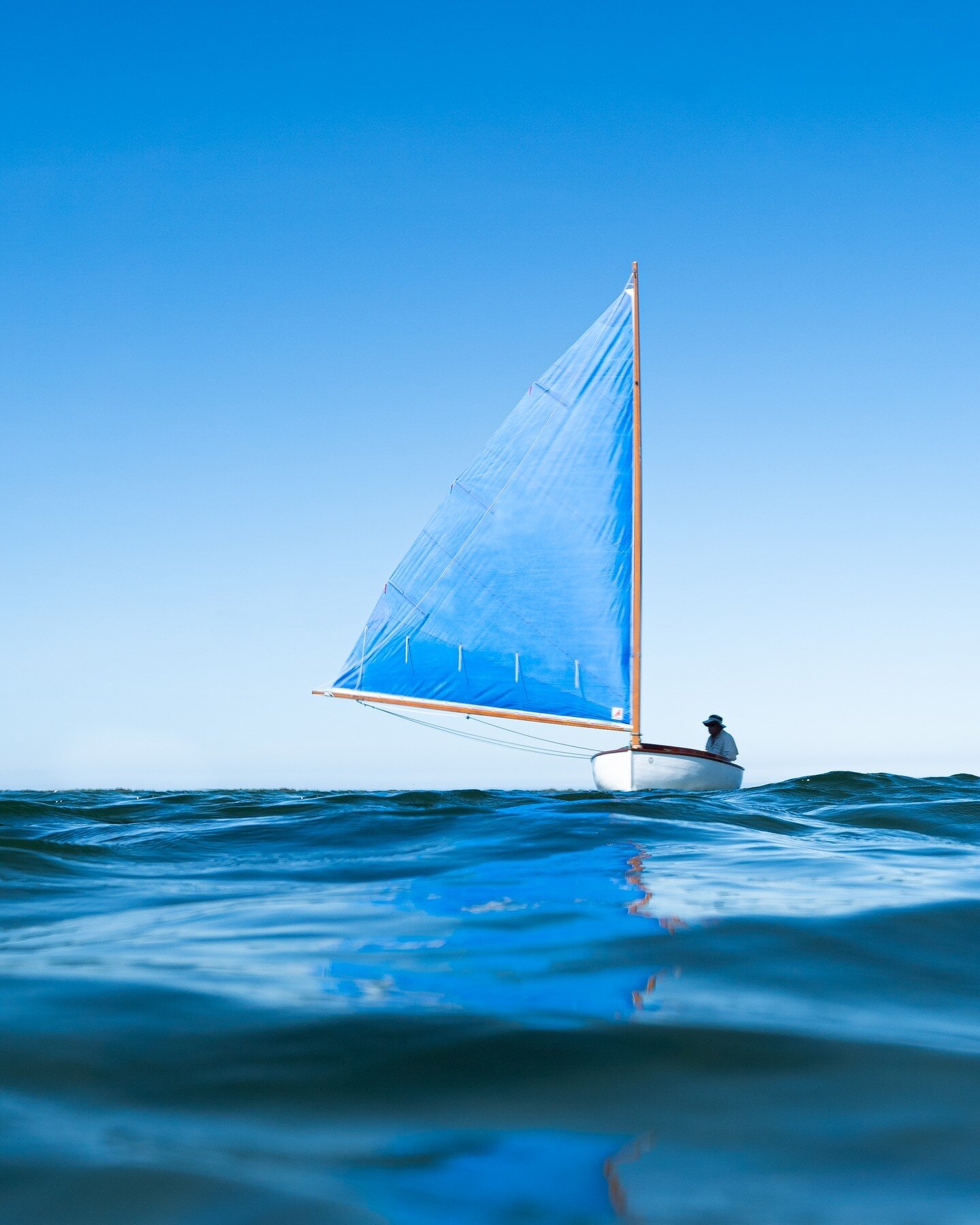 ​​SAILBOAT SCAVENGER

For 300 points, find a sailboat currently underway and upload a photo. The boat must be using its sails to propel itself through the water and not its engine. Upload your findings to our Climate Change Awareness Month Scavenger 