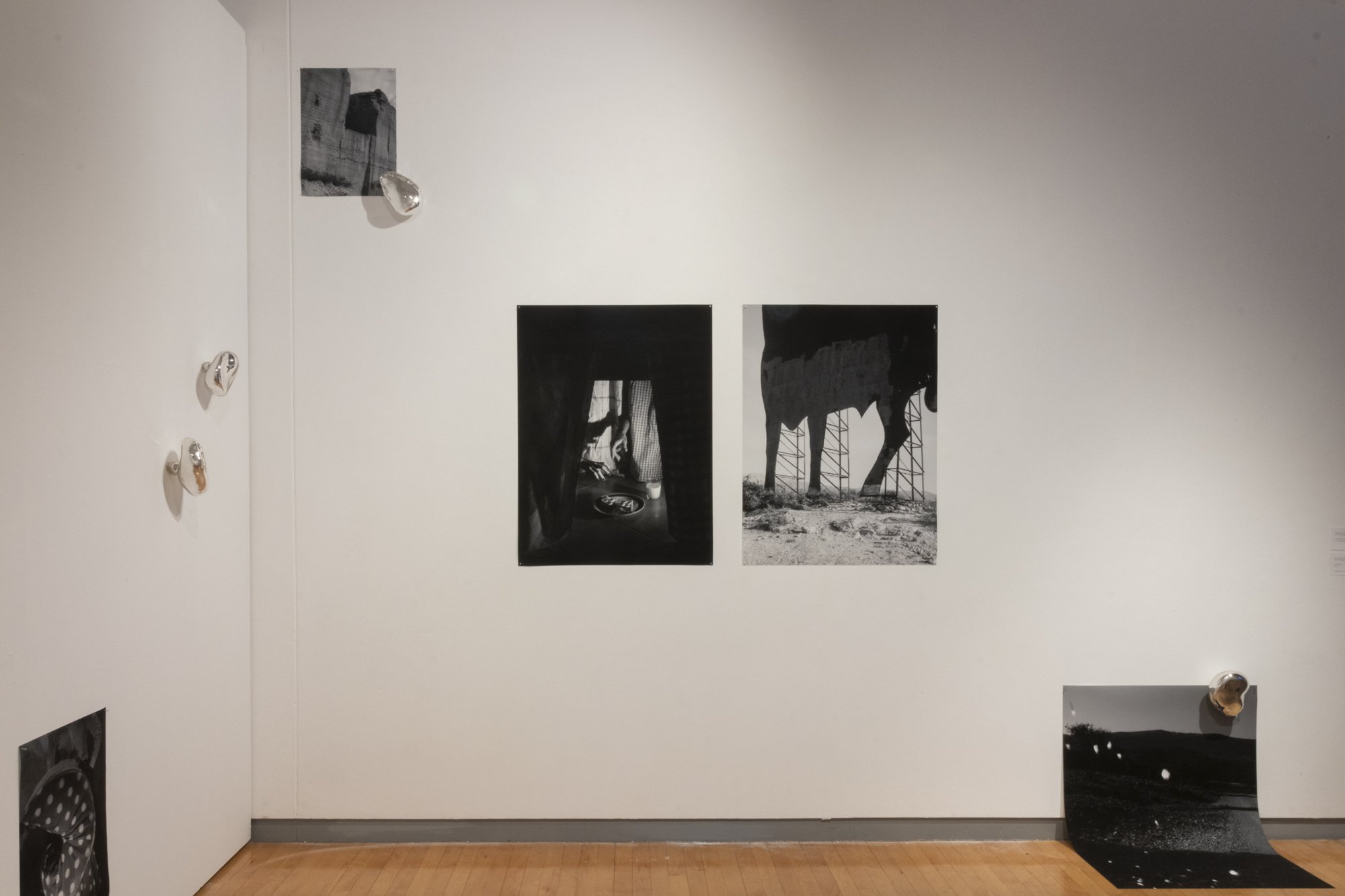 "Zarcillo" at the Grad Photo Biennial at RISD 2024: "Home/World"