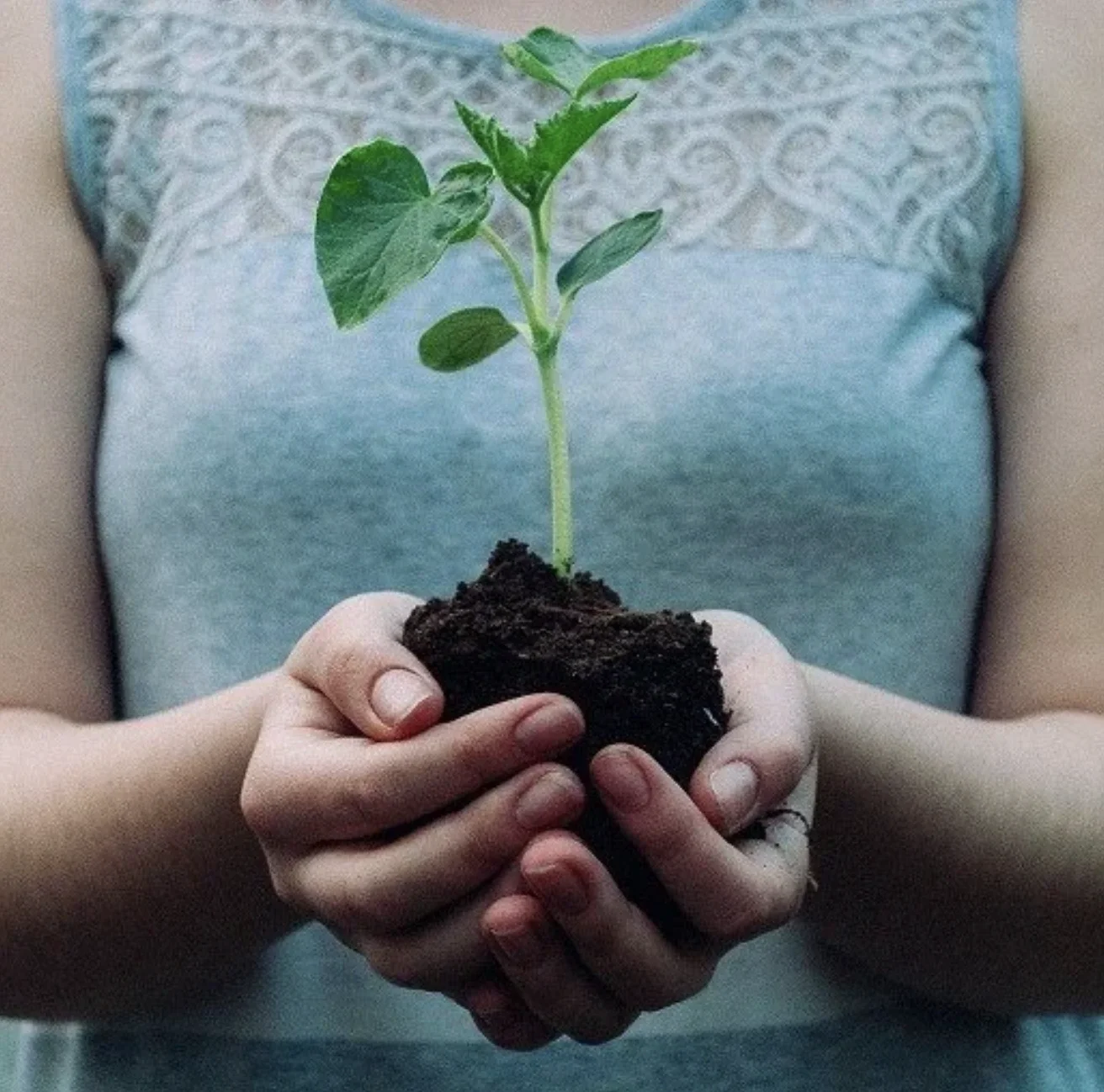 a peaceful photo of a woman holding a plant