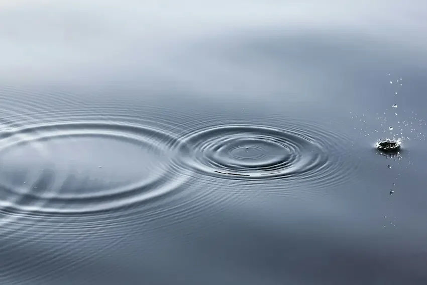 Serene water with a few droplets creating ring shapes on the water's surface