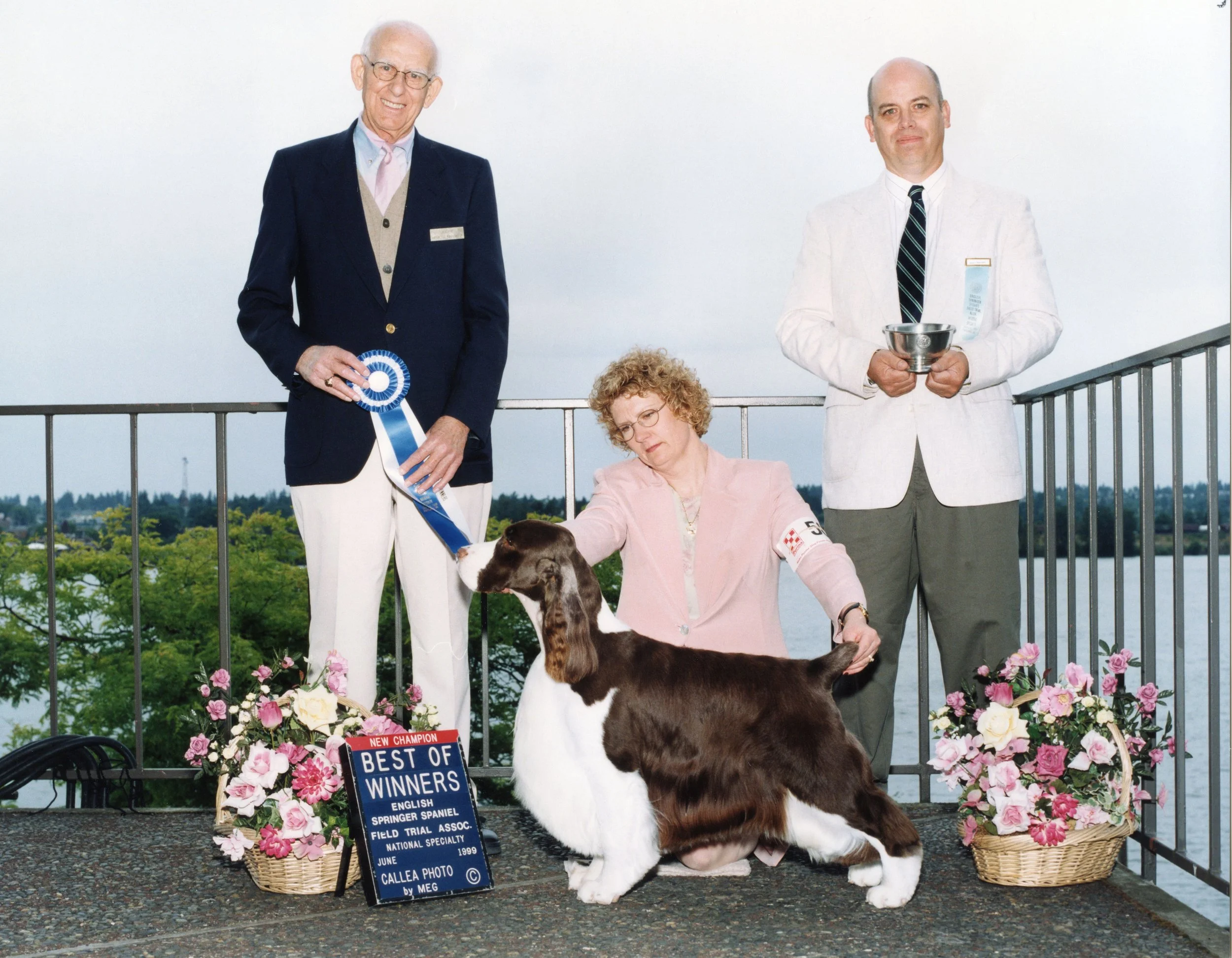 Dylan WD-BW-v2-1999-ESSFTA-JPG.jpg