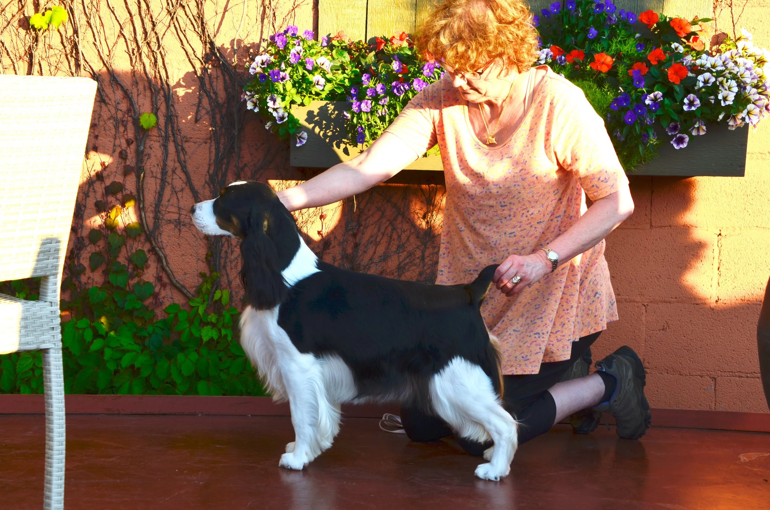 An elderly woman with curly red hair, wearing glasses, a peach-colored dress, and black shoes, kneels on a wooden deck to pet a large black and white dog. The background features a wall with climbing plants and three flower planters filled with purple, red, and white flowers.