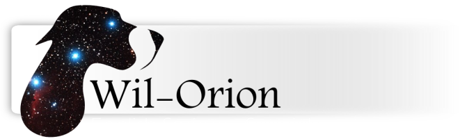 Wil-Orion English Springer Spaniels