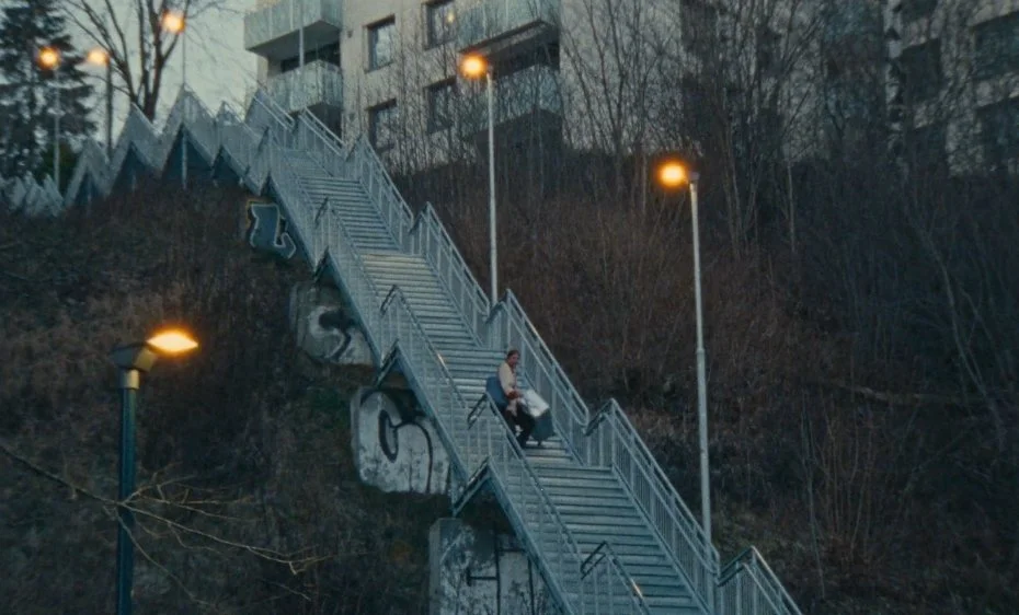 Strawberry - Anycation